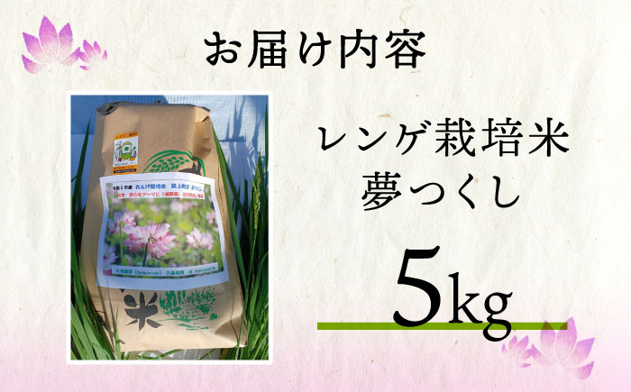 【先行予約】レンゲ栽培米 夢つくし 4.5kg 【2025年10月以降順次発送】《築上町》【久楽農園】 [ABAT001] 精米 お米 こめ コメ ご飯