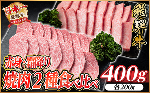 飛騨牛 赤身・霜降り焼肉2種食べ比べセット(ヒレ・三角バラカルビ)　約400g(各200g)タレ付き【配送不可地域：離島】