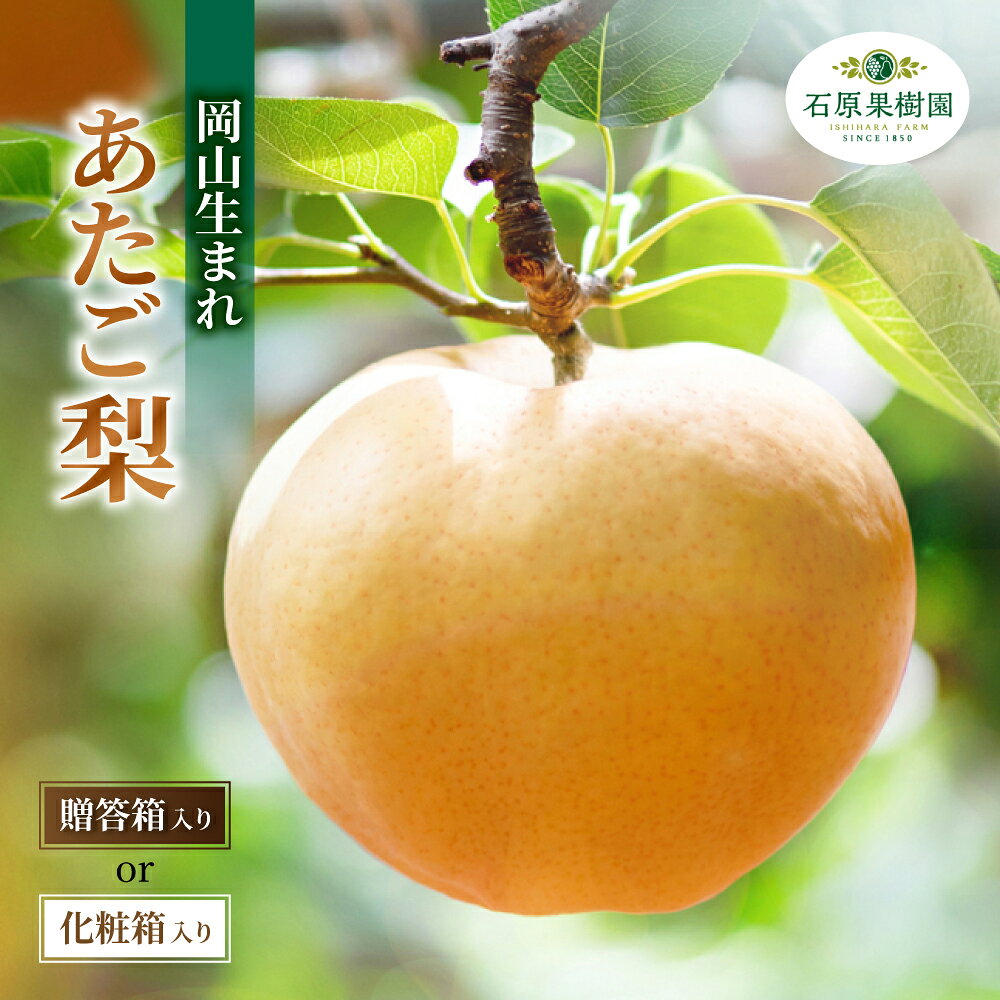 【ふるさと納税】 梨 あたご梨 1kg 2kg 3kg 4kg 先行予約 化粧贈答箱 贈答箱 赤秀 岡山県産 | あたご梨 愛宕梨 梨 特選品 上級品 贈り物 御歳暮 果物 くだもの フルーツ 和梨 石原果樹園 贈答品 岡山県 真庭市