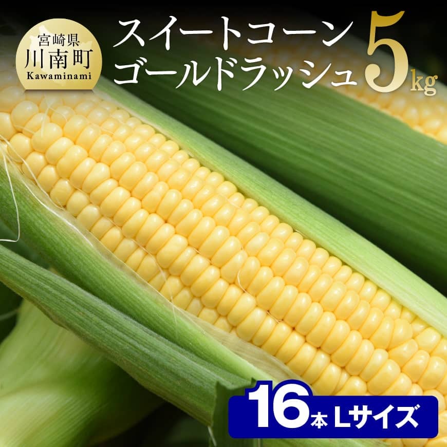 【ふるさと納税】※レビューキャンペーン※【令和7年発送】朝どれ！守部さんちのゴールドラッシュ (L)5kg) - 先行予約 数量限定 宮崎県産(川南町産) とうもろこし 送料無料 期間限定 朝どれ D06407