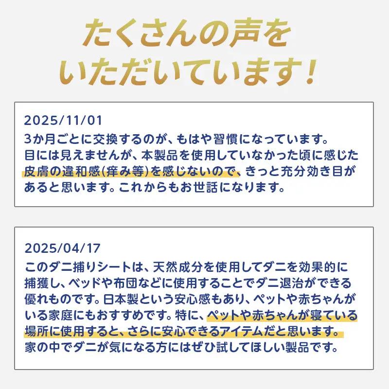 【3回定期便】ダニ捕り パック ブラックホール 6個入 ダニ ダニ取り