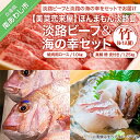 【ふるさと納税】 ふるさと納税 牛肉 焼肉 【美菜恋来屋】ほんまもん淡路島 淡路ビーフ（焼肉用）&海の幸セット（竹）