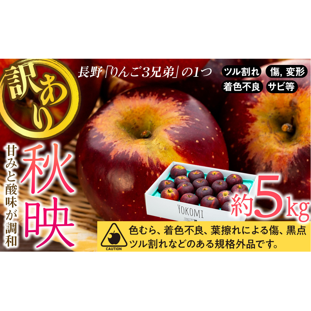 【2025年/令和7年度発送分 】訳あり 信州のりんご 秋映 約 5kg りんご リンゴ 林檎 長野 フルーツ 果物 信州産 長野県産 特産 産地直送 おすすめ 