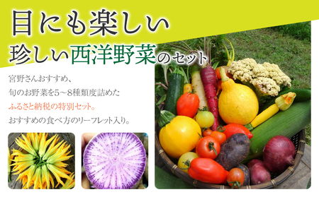 【アグロノーム】季節のお野菜セット（２〜３人様向け）
