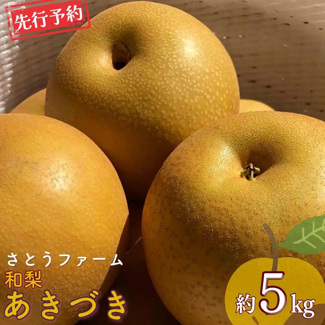 先行予約 あきづき 約5kg 令和8年 和梨 新潟県 三条市 さとうふぁ~む