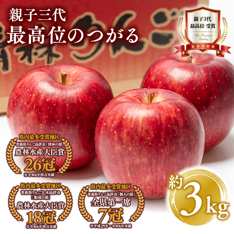 【9月発送】 親子三代最高位のつがる 約3kg【全国ふじコンテスト最高賞受賞農園・平川市広船産りんご】