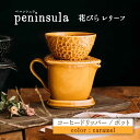 【ふるさと納税】【美濃焼】peninsula -ペニンシュラ- 花びらレリーフ コーヒードリッパー・ポット セット キャラメル【九左コンフィデンシャル】キッチン雑貨 珈琲 ドリッパー [MEY001]