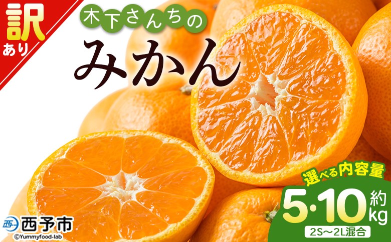 
                  ＜木下さんちのみかん 訳あり 約5kg／10kg（2S～2Lサイズ混合）＞ 選べる わけあり 家庭用 柑橘 温州みかん うんしゅうみかん ミカン 蜜柑 果物 くだもの フルーツ 国産 特産品 木下農園 愛媛県 西予市【常温】『2026年11月中旬〜12月下旬迄に順次出荷予定』
                
