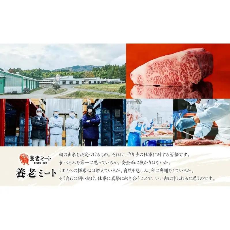 飛騨牛 モモ・カタ スライス すき焼き しゃぶしゃぶ 飛騨牛【500g】【冷凍】