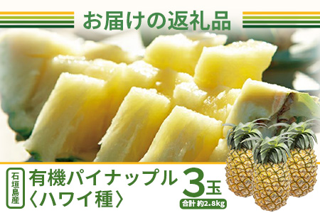 【予約受付】石垣島産 有機パイナップル・ハワイ種 3玉（約2.8kg前後)〈常温〉《7月上旬～順次発送予定》｜パイナップル パインアップル 石垣島パイン フルーツ 果物 くだもの 南国フルーツ 国産パ