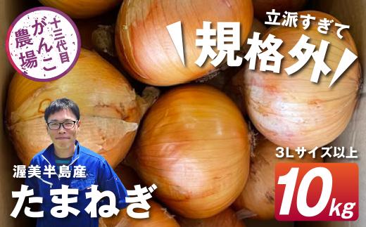 がんこ玉ねぎ　10kg