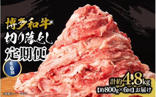 博多和牛 切り落とし 定期便全6回 計約4.8kg 肉 お肉 博多和牛 和牛 牛肉 バラ カタ モモ ウデ 赤身 切り落とし 国産 800g 冷凍 冷凍配送 使い切りサイズ 柔らかい ジューシー すき焼き 牛丼 肉じゃが 定期便 全6回 福岡県 八女市