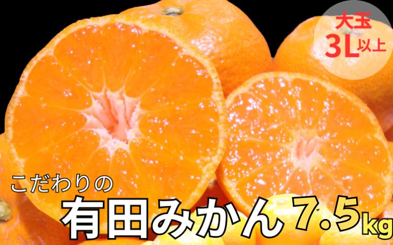 
有田みかん　約7.5kg 大玉3L以上　有機質肥料100%　※2024年12月初旬～1月中旬に順次発送(お届け日指定不可)/ミカン 蜜柑 柑橘 フルーツ くだもの 果物 早生 温州 有田 【nuk158A】
