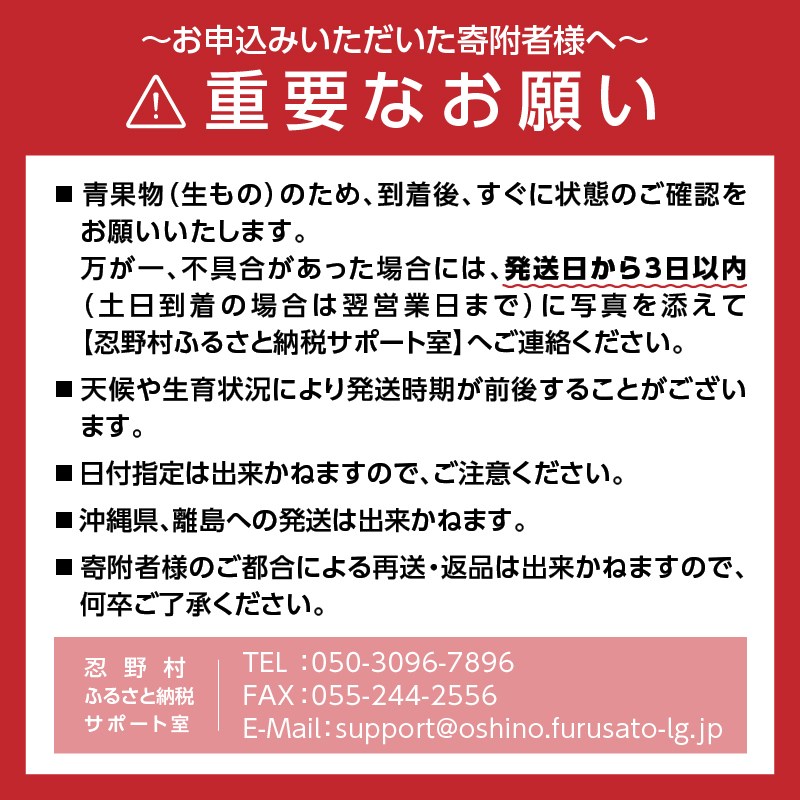 ≪2024年 先行予約≫富士北麓忍野村の気候、水、自然で作られた朝採りトウモロコシ【ゴールドラッシュ】2.5kg