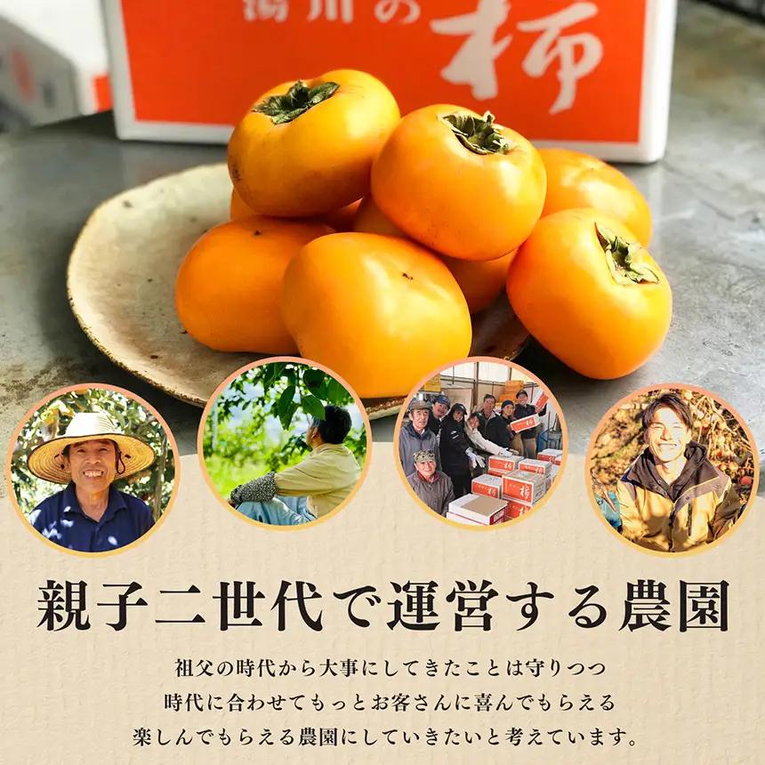 わけあり 上田さんちの柿 富有柿 12～14個 | フルーツ くだもの 果物 柿 かき カキ 日本一の柿のまち 秋の味覚 自宅用 家庭用 特産品 果実 11月 12月 秋 旬 味覚 グルメ お取り寄せ