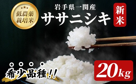 【新米先行予約】令和8年産 新米 低農薬栽培 ササニシキ 20kg【精米】