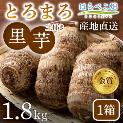 ふるさと納税 西尾市 【粘りと甘みが段違い】里芋『とろまろ』土付き・1.8kg1箱・H063