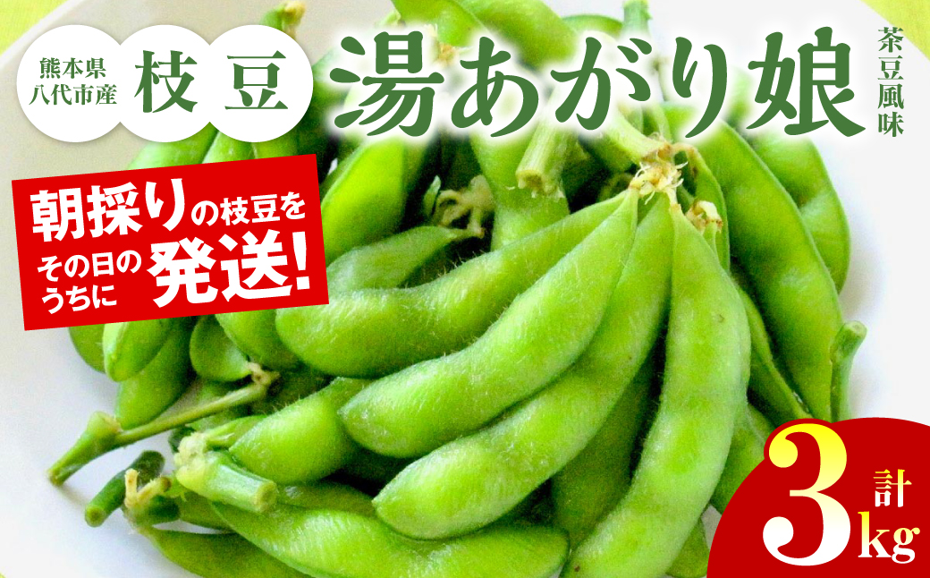 【先行予約】 熊本県八代市産枝豆 [湯あがり娘（茶豆風味）] 3kg 【2025年6月下旬より順次発送】
