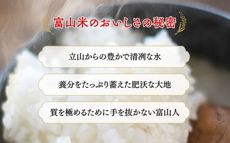 【3ヶ月定期便】富山米「富富富」20kg（白米5kg×4袋）