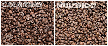 スペシャルティコーヒー 飲み比べセット【ドリップパック】 6種×2（１２個）【 コーヒー 神奈川県 小田原市 】