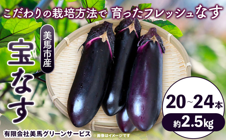 
＜先行予約＞宝なす 20~24本程度 約2.5kg 《7月中旬‐10月上旬頃出荷》有限会社美馬グリーンサービス 野菜 ナス 農家直送 新鮮 薄皮 徳島県 美馬市産 送料無料
