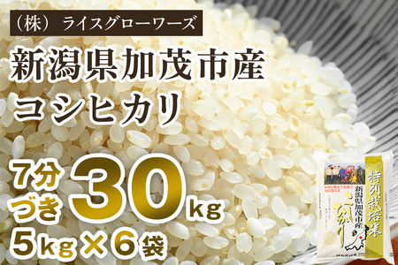 【令和8年産新米先行予約】【7分づき】 新潟県 加茂市産 特別栽培米コシヒカリ 精米30kg（5kg×6）《10月上旬～順次出荷》 （株）ライスグローワーズ