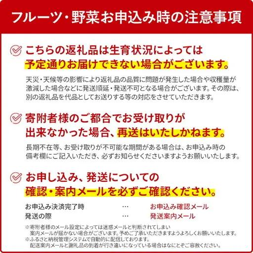 いちご 大木町産あまおういちご 約250g×4P【2027年2月以降発送】CL001