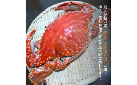 ワタリガニ 冷蔵 ワタリガニ メス 2杯 (約800g) 海鮮 カニ