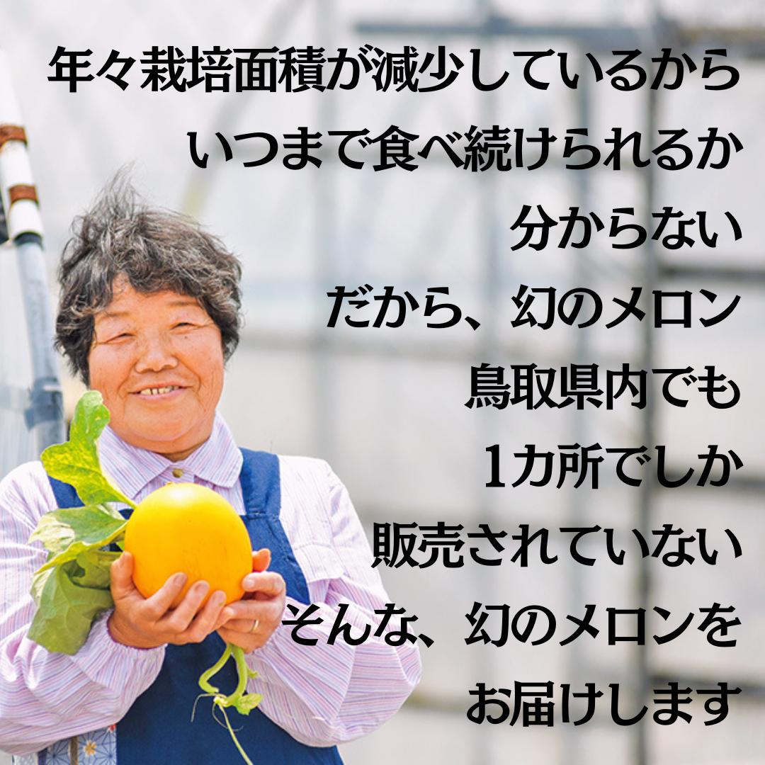メロン クレオパトラ 5kg 4玉 5玉 6玉 (19MS.)| 鳥取県 湯梨浜町 果物 フルーツ 特産品 2026年 先行予約 先行受付