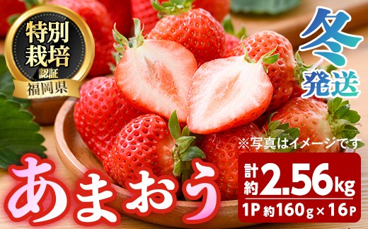 ＜先行予約受付中！2026年12月～2027年2月発送予定＞ うるう農園の あまおう MLサイズ (計約2.56kg・約160g×16P) 苺 いちご イチゴ 果物 フルーツ 国産 福岡県 ヨーグルト ジャム スムージー 冷蔵 冬発送 特別栽培 ＜離島配送不可＞【ksg1957】【うるう農園】
