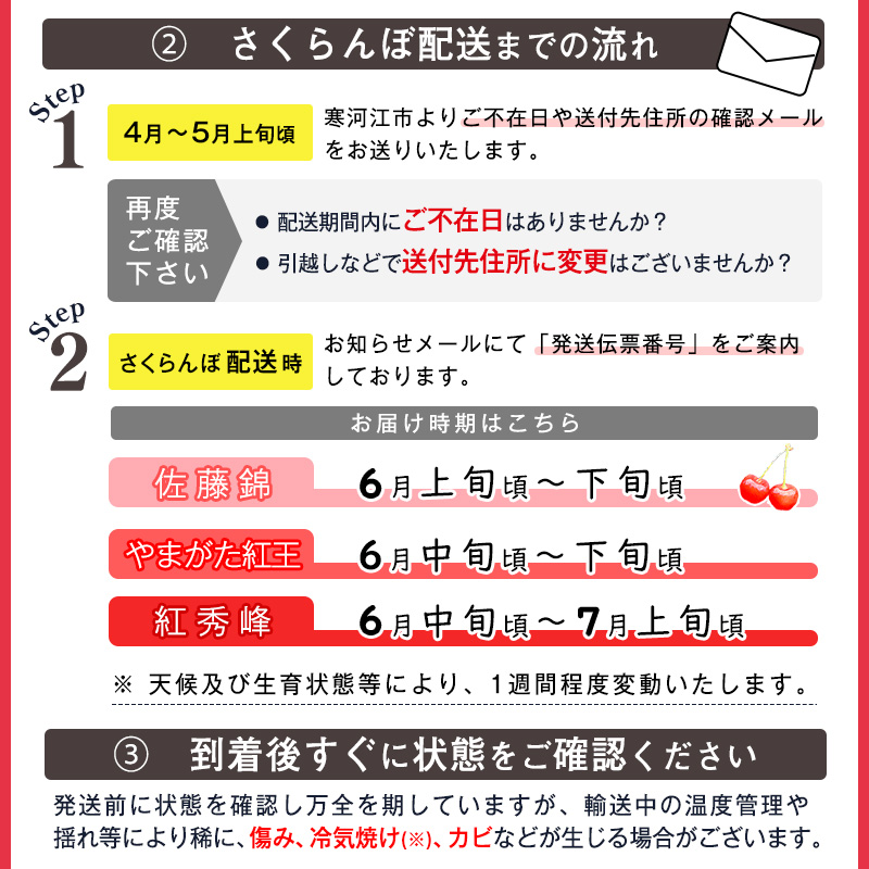 《先行予約》 令和9年産 山形県産 さくらんぼ 佐藤錦 500g Lサイズ以上 秀品 【2027年6月上旬頃から下旬頃発送予定】 ※ 配送不可 沖縄・離島　015-A-OT007 500g