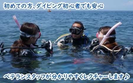 ダイビング 体験チケット 大人1名1回 伊豆半島 スキューバダイビング