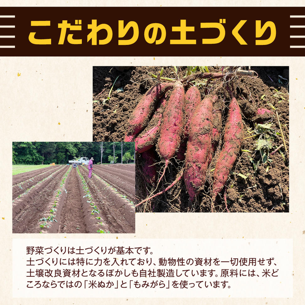 茨城県産 紅はるか 10kg 土付き 無選別 熟成 さつまいも 生芋