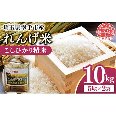 ふるさと納税 幸手市 レンゲ米　こしひかり 精米 5kg×2袋
