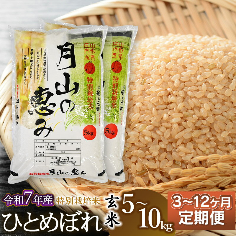 【ふるさと納税】令和7年産定期便　特別栽培米 ひとめぼれ 玄米 選べる容量（5kg・10kg）・発送回数（3・6・12回） 毎月1回中旬発送 | 山形県 鶴岡市 ブランド米 特産品 お取り寄せ お米 おこめ