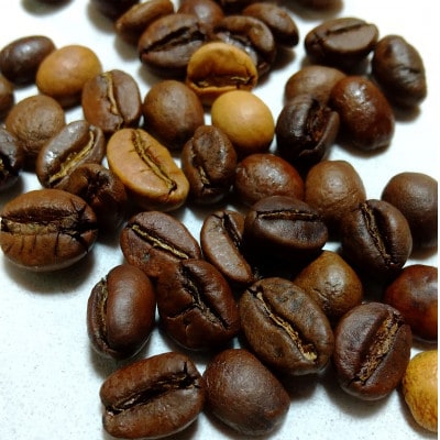 【毎月定期便】直火自家焙煎コーヒー100g (豆)　新鮮なコーヒーが毎月届きます。全6回【4081564】