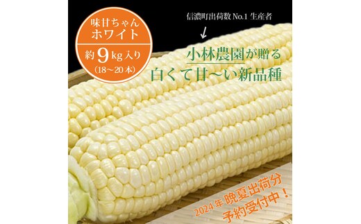 
										
										【9月上旬～9月下旬出荷】小林農園の白くて甘いとうもろこし『味甘ちゃんホワイト（みかんちゃんほわいと）』約9kg入り（18～20本セット）／スイートコーン注目品種を予約受付中！ 【長野県信濃町ふるさと納税】
									