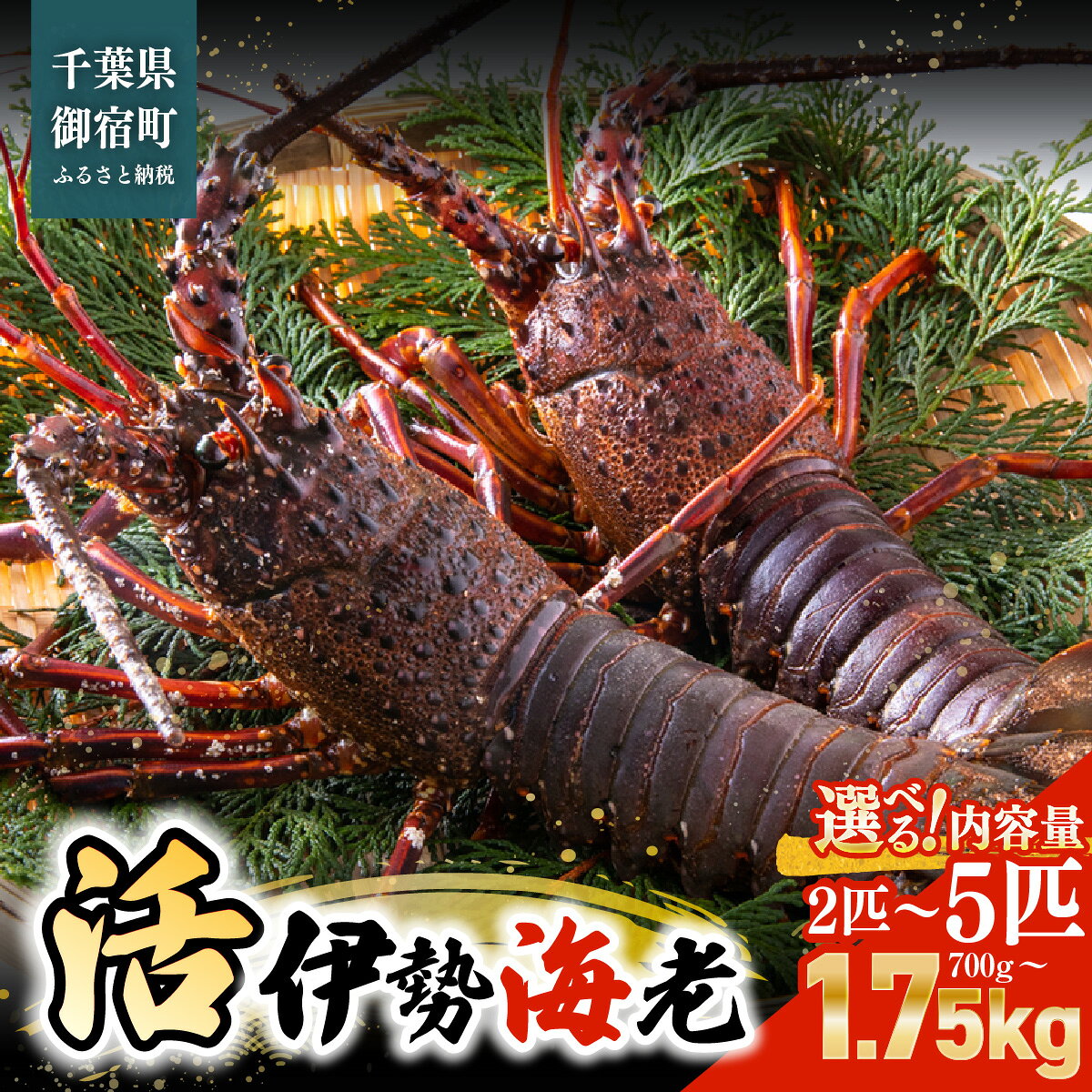 【ふるさと納税】活伊勢海老　1匹300～400gサイズ　選べる2～5匹