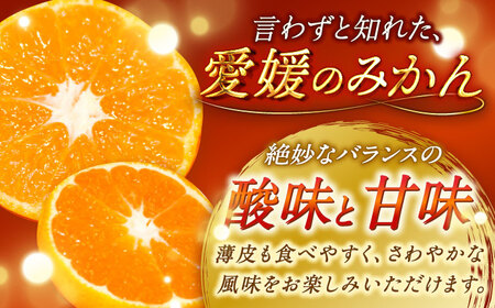 【先行予約】【11月中旬から順次発送】【期間・数量限定】愛媛県産 早生みかん 赤秀5kg箱愛媛県大洲市/愛媛たいき農業協同組合[AGAO005]みかん早生みかん果物みかん早生みかん果物みかん早生みかん