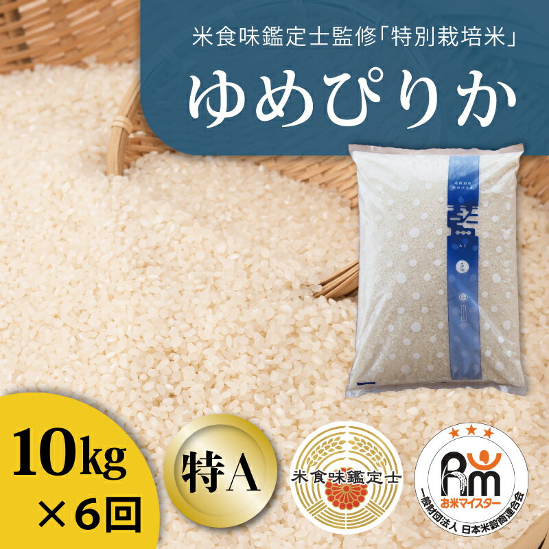 【ふるさと納税】※令和7年産※ ≪定期便6ヶ月≫ 特別栽培米ゆめぴりか 10kg×6回 減農薬 低農薬 特A米 特A 米食味鑑定士 三ツ星お米マイスター 栽培 監修 当麻町 北海道 こめ 米 精米 舟山農産 北海道産 北海道米 定期便 定期 送料無料 お取り寄せ