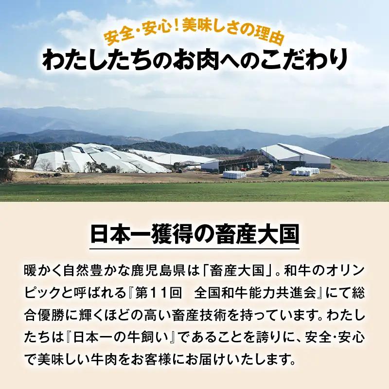 大容量！自社 ブランド牛【 上村牛 】ユッケ 14人前 K002-043_14 肉 牛肉 冷凍