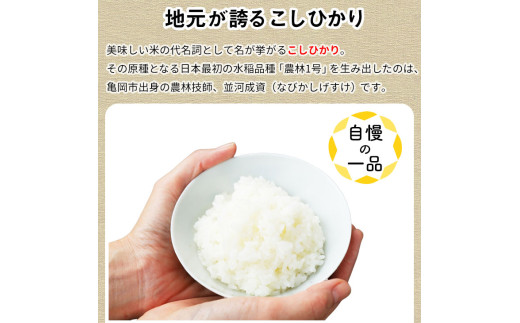 【毎月1回お届け（10月発送）】【9月より新米】【定期便】令和7年産 令和8年産 京都丹波米 こしひかり10kg×6回 計60kg◇◆◇ 米 6ヶ月 白米 6回定期便 ※精米したてをお届け コシヒカリ