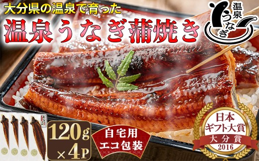 完全無投薬養殖！温泉うなぎ蒲焼 4尾（120gサイズ） 自宅用 エコ包装 国産うなぎ 人気 国産 蒲焼 蒲焼き かば焼き 鰻屋 個包装 冷凍 真空 海鮮 ＜104-067＞
