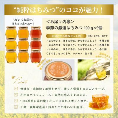 ふるさと納税 大網白里市 千葉県産「厳選はちみつ」【計900g】100g×9個【ランダムにセレクト】 |  | 03