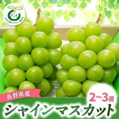 【ふるさと納税】【発送月固定定期便】シャインマスカット (2～3房)　サンふじ林檎10kg全2回【配送不可地域：離島】【4082869】