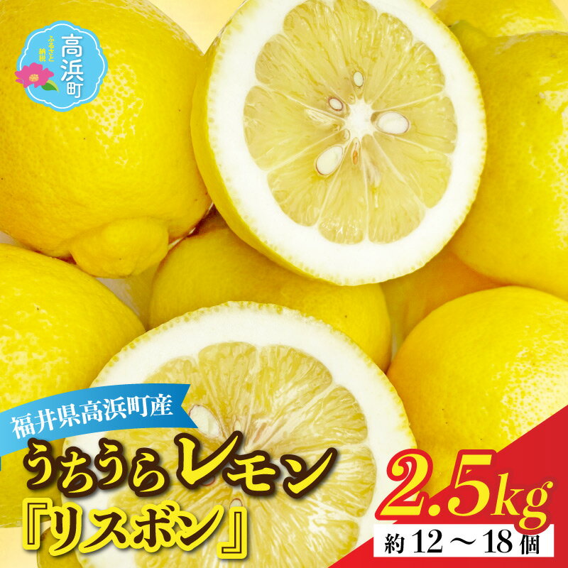 【ふるさと納税】【先行予約】日本海で育ったうちうらレモン「リスボン2.5kg」皮まで丸ごと食べられます！【12月下旬より順次発送】 栽培期間中 農薬不使用 [A-022037] 国産 果汁 防腐剤 不使用 レモン 檸檬 れもん ノーワックス フルーツ 果物 くだもの 期間限定 数量限定