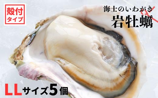 【のし付き】海士のいわがき 新鮮クリーミーな高級岩牡蠣 殻付きLLサイズ×５個 お歳暮に