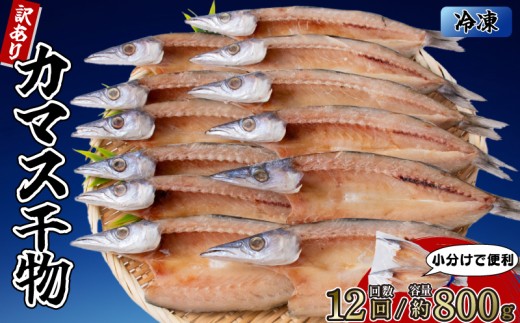 カマスの干物 4袋（約8枚） 【12回分】