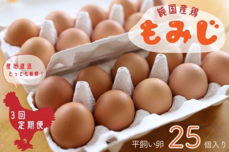 AJ006 【純国産鶏もみじ】平飼い卵25個入り【3ヶ月連続お届け】