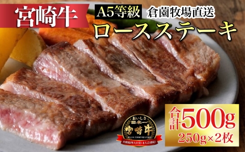 【百名店の味をご自宅で！】A5等級 宮崎牛ロースステーキ 250g×2枚（牛肉 黒毛和牛 ブランド牛 ステーキ 内閣総理大臣賞）